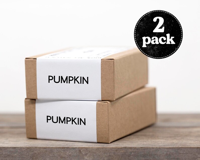 Pumpkin Soap Dry Skin Soap, All Natural Soap, Homemade Soap, Cold Process Soap, Vegan Soap, Unscented Soap 2-Pack