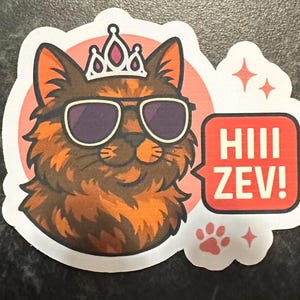 May include: A sticker featuring a cat wearing sunglasses and a crown. The cat has brown and orange fur and is set against a pink circle. A speech bubble says "HIII ZEV!" with paw prints and stars.