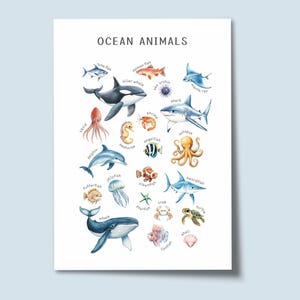Póster de animales marinos, impresión de vida marina, impresión educativa para niños pequeños, impresión Montessori, impresión de océano para guardería, póster preescolar, educación en casa