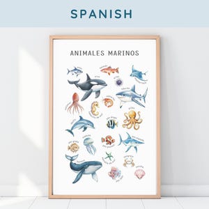 Spanish Printables for Kids, Spanish Poster, Spanish Classroom Decor, Spanish Teacher, Educational Poster for Toddlers, Homeschool Prints