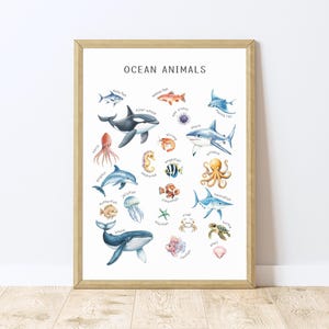 Ocean Animal Poster, Sea Life Print, Toddler Educational Print, Montessori Print, Ocean Nursery Print, Preschool Poster, Homeschooling