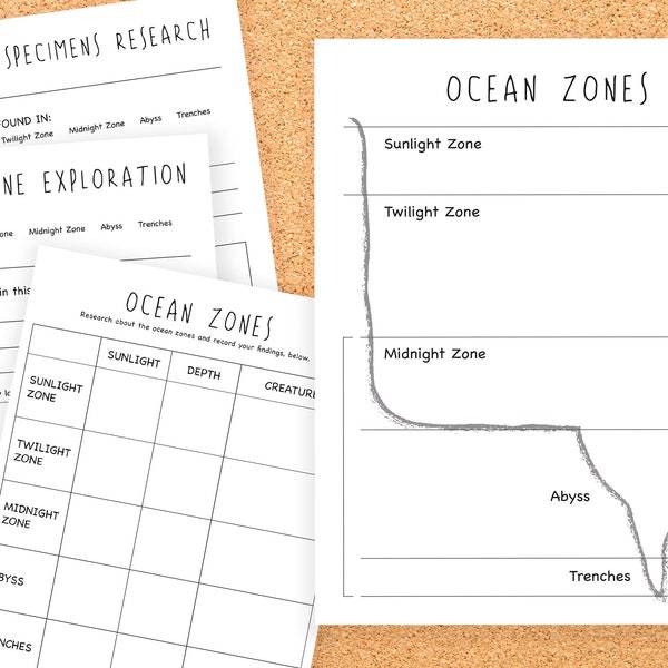 Ocean Zones Worksheets - oceans activity, homeschool, specimen research and exploration,  sea creatures, learning resources