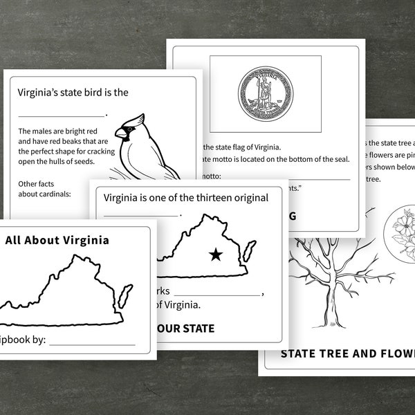 Virginia Worksheet Printable, Flip Book, VA SOL, activity, toddler, kids, second grade, homeschool, fairfax, loudoun county worksheets