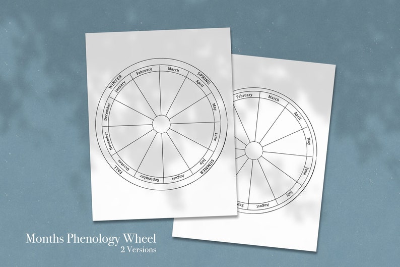 Months of the Year Tracker Printable, Phenology Wheel, Printables, Calendar 2024, Mystic Planner ...