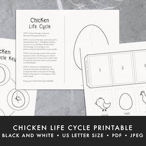 Chicken Life Cycle Activity - educational printable, spring, accordion fold, hens, chicks, sequencing, homeschool, pre-k, kindergarten
