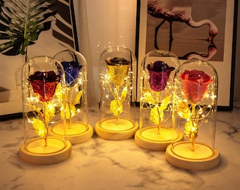 Eternal Rose in Glass with LED Light, Valentine Gift for Girlfriend, Romantic Preserved Flower, Wedding Decor, Mother's Day Gift