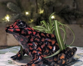 Frog Planter Airplant holder Oophaga histrionica