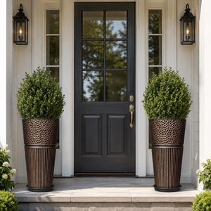 May include: A front door with a black finish and glass panes is flanked by two tall, bronze-colored planters with green shrubs. Black lanterns hang on either side of the door, illuminating the entrance.