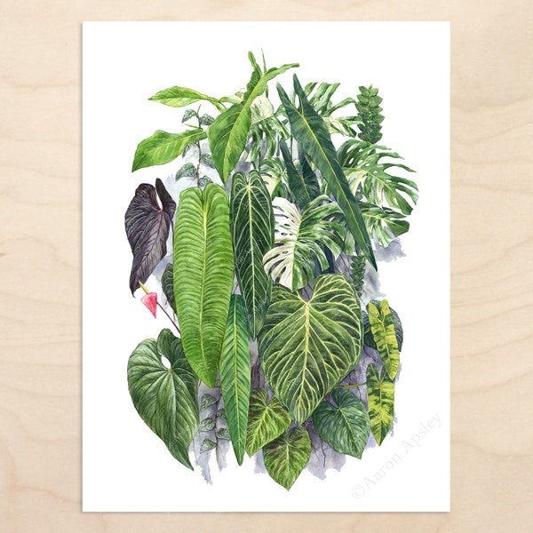 NSE Living Wall Print -- Watercolor Botanical Art