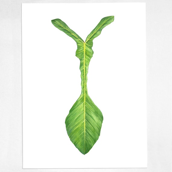 Philodendron Joepii Print Botanical Watercolor Art Etsy Singapore