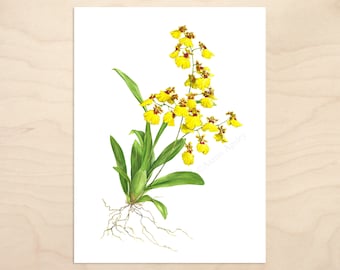 Oncidium Orchid Print -- Watercolor Botanical Art