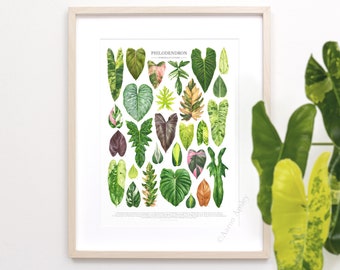 Philodendron Hybrids & Cultivars Print • Aroid varieties ID chart featuring 28 watercolor leaf paintings • Unframed botanical fine art print