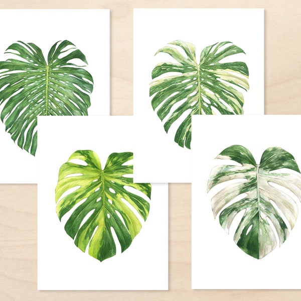 Monstera deliciosa Print Set • Deliciosa, Thai Constellation, Albo, Aurea • Watercolor Fine Art Prints • Unframed