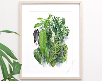 Aroid Living Wall Print • Unframed botanical fine art print