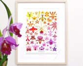 Artikel aus diesem Shop