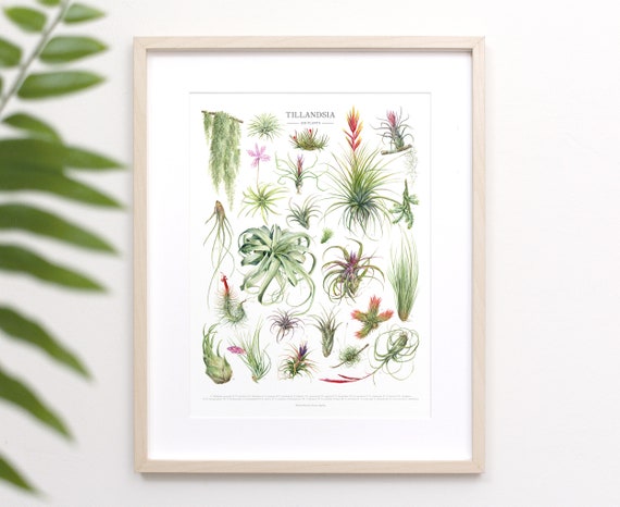 hanging planter plants Boho Chic Hanging Planter for Modern Home Decor in Hemp and Canvas   Letifly Lights & Decor