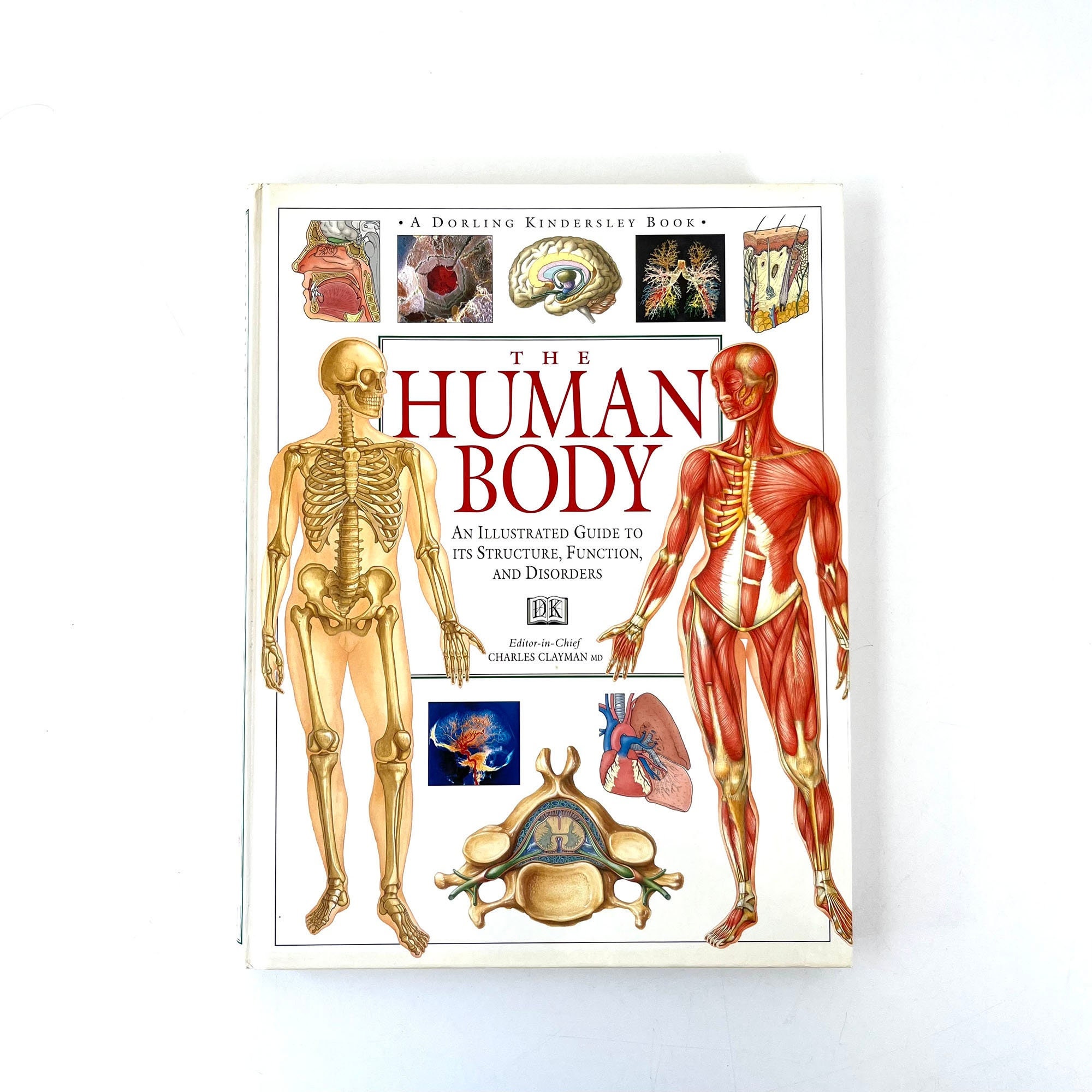 Vintage 1995 the Human Body - Hardcover - Etsy