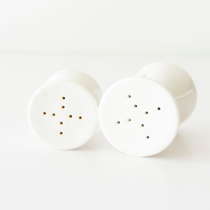 Vintage Mid Century Modern Ben Seibel Iroquois Rosemary Rose Salt /& Pepper Shakers