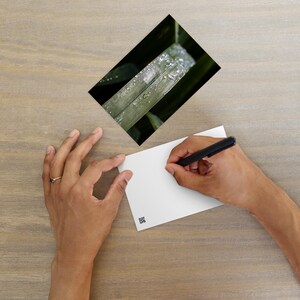 露に覆われた葉のポストカード - 自然写真カード、植物マクロアートプリント、グリーン美的文房具、環境に優しいギフト