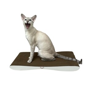 Rascador de cartón para gatos 46x25x5 cm Mini Adelecat