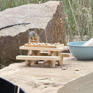 May include: A small, light-colored wooden picnic table designed for squirrels, featuring a rectangular feeding tray on top filled with unshelled peanuts. A gray squirrel is positioned behind the table, eating a peanut while resting on a large stone.