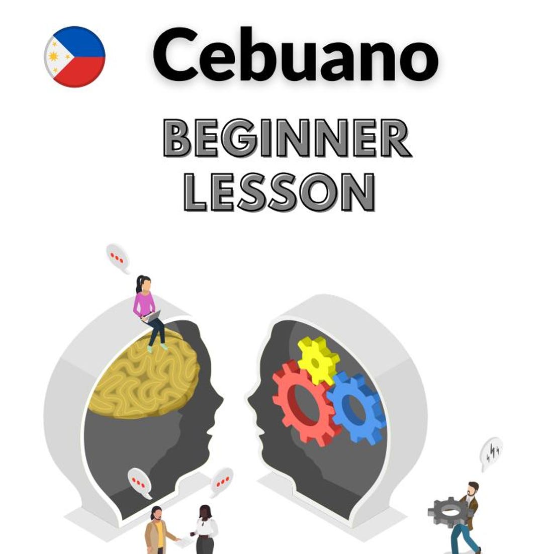READY MADE Bisaya/cebuano Lesson (beginner Conversational) for Personal ...