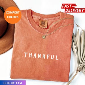 Thankful Shirt Comfort Colors®, Thanksgiving tshirt, Cute Fall Crewneck, Fall Shirt, Religious Gift Idea, Retro Fall Season, Autumn Tees
