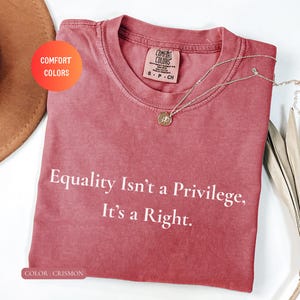 Comfort Colors Fight For Those Without Your Privilege Shirt, Feminist Shirt, Equal Rights Shirt, Anti Racism Gift Shirt, Anti Discrimination