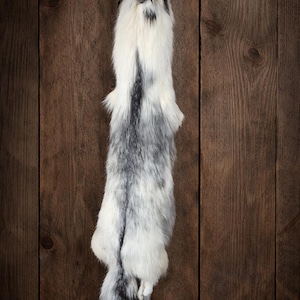Ethical Fox Pelts from Local Breeder, Real Full Body Fox Pelt | Ethically Sourced Silver, Cross & Red Fox | Taxidermy Fur for Craft, altars.