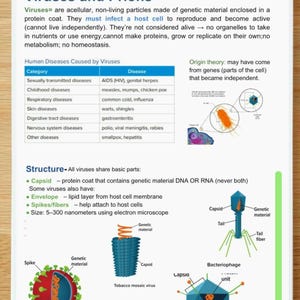 Può includere: Una pagina di guida allo studio rilegata a spirale intitolata Viruses and Prions. Contiene testo educativo, una tabella delle malattie umane e diagrammi del virus influenzale, del virus del mosaico del tabacco e di un batteriofago con etichette.