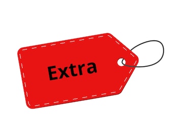 Extra Payment - Express Shipping