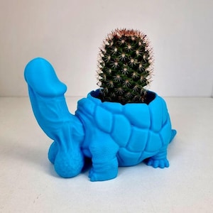 Może przedstawiać: Niebieska, nowatorska doniczka w kształcie żółwia z kaktusem. Doniczka ma unikalny design, ze skorupą żółwia i falliczną głową i szyją. Kaktus jest zielony z brązowymi końcówkami.