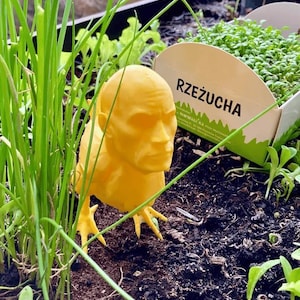Könnte beinhalten: Eine skurrile gelbe Skulptur eines Huhns mit menschlichem Gesicht in einem Gartenbeet. Umgeben von grünem Schnittlauch und anderen Pflanzen. Ein Pappbehälter mit dem polnischen Wort "RZEŻUCHA" ist sichtbar.