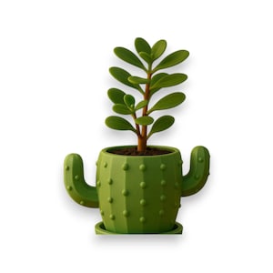 Könnte beinhalten: Ein grüner Kaktus-Pflanztopf mit einer kleinen Sukkulente. Der Topf hat eine strukturierte Oberfläche mit kleinen, gleichmäßig verteilten Noppen. Die Pflanze hat grüne Blätter und einen braunen Stiel. Der Topf steht auf einer passenden Untertasse.