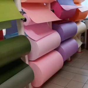 Peut inclure: Plusieurs rouleaux de papier colorés sont exposés sur un support métallique. Les rouleaux sont dans des tons de rose, de violet, de vert et d'orange. Certaines feuilles sont déroulées, révélant la couleur du papier. Un grand rouleau rose est debout.