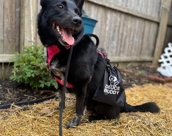 Deuce Buddy (SMALL)