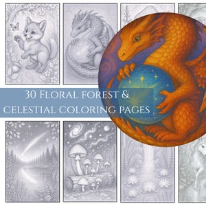 30 Celestial & Floral Fantasy Coloring Pages | Grayscale Digital Download for Adults | Spiritual, Magical, and Floral Art for Mindfulness