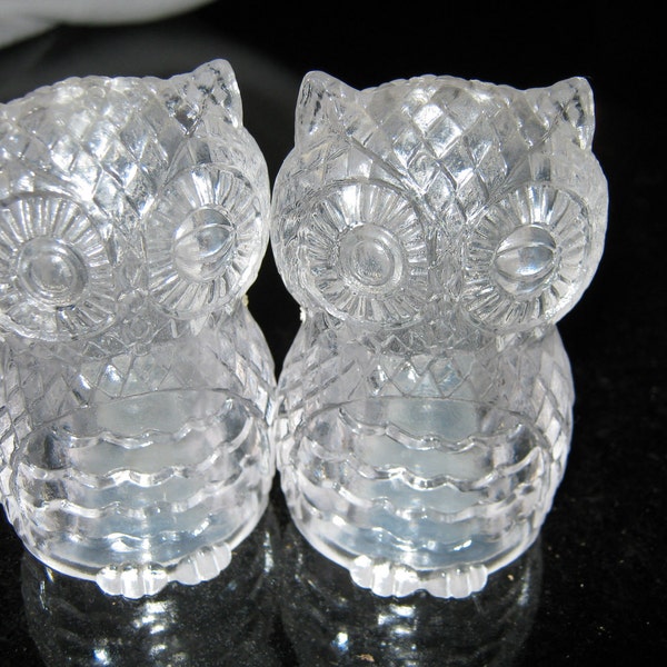 Owl Salt and Pepper Shakers Lucite / Plastic By Gatormom13