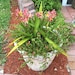 Owner of <a href='https://www.etsy.com/shop/Gatormom13?ref=l2-about-shopname&from_page=listing' class='wt-text-link'>Gatormom13</a>