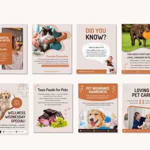 May include: A series of pet care promotional flyers. The flyers cover topics such as dental offers, parasite prevention, pet health tips, and pet insurance. Each flyer features images of pets and text.
