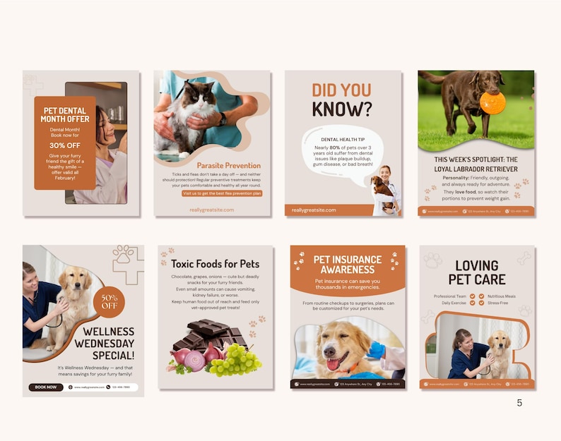 May include: A series of pet care promotional flyers. The flyers cover topics such as dental offers, parasite prevention, pet health tips, and pet insurance. Each flyer features images of pets and text.