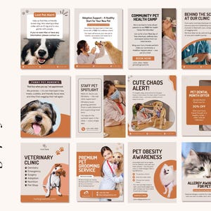 May include: A series of pet care themed promotional graphics on an orange background. The graphics feature text and images about pet adoption, veterinary services, dental offers, and allergy awareness. Text includes phrases like "Lost Pet Alert!" and "Cute Chaos Alert!"
