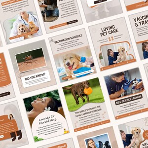 May include: A selection of pet care information leaflets. The leaflets feature images of dogs, cats, and veterinary staff. Text includes "Summer Safety Tips", "Pet Skin Health Check", and "Vaccination Schedule".