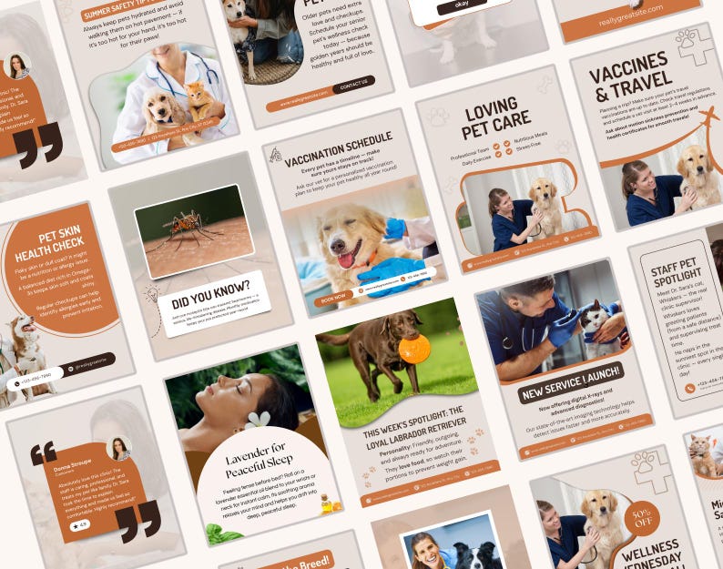 May include: A selection of pet care information leaflets. The leaflets feature images of dogs, cats, and veterinary staff. Text includes "Summer Safety Tips", "Pet Skin Health Check", and "Vaccination Schedule".