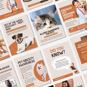 May include: A selection of pet care leaflets in orange and white. Topics include pet grooming, dental offers, nutrition, and allergy awareness. The leaflets feature images of dogs and cats.