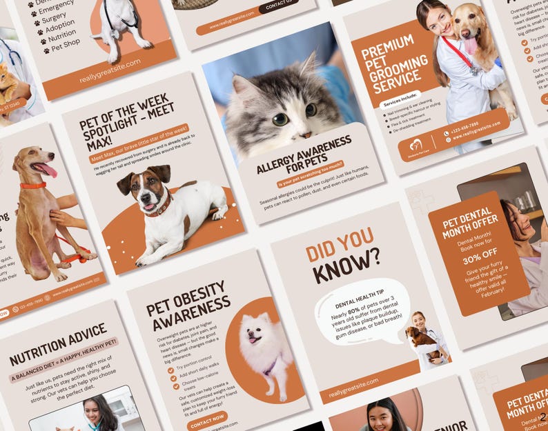 May include: A selection of pet care leaflets in orange and white. Topics include pet grooming, dental offers, nutrition, and allergy awareness. The leaflets feature images of dogs and cats.