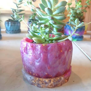 Handmade Resin Succulent Planter: Live Plant, Modern Desk Decor