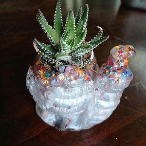 Mini Snail Planter with live succulent!