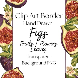 Figs Border PNG Clipart, Digitally Hand Painted Figs Graphic Download, Cute Fruit Illustration PNG, Figs Clipart