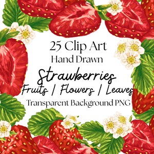 Strawberry Fruit 25 PNG Clipart, Digitally Hand Painted Strawberry Graphic Download, Cute Fruit Illustration PNG, Strawberry Clipart Bundle